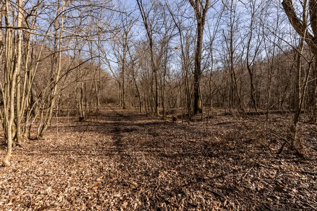 $1,274,999 | 54008 Valentine Lane, Wauzeka, WI 53826