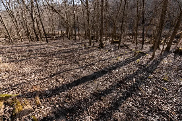 $1,274,999 | 54008 Valentine Lane, Wauzeka, WI 53826