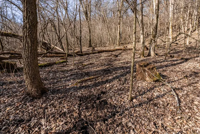 $1,274,999 | 54008 Valentine Lane, Wauzeka, WI 53826