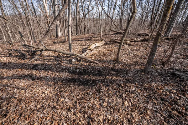 $1,274,999 | 54008 Valentine Lane, Wauzeka, WI 53826