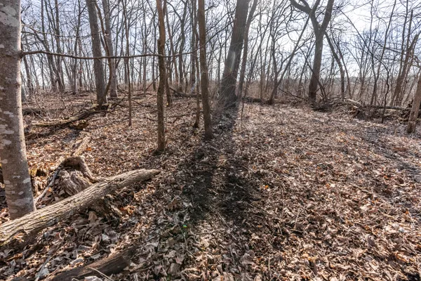 $1,274,999 | 54008 Valentine Lane, Wauzeka, WI 53826