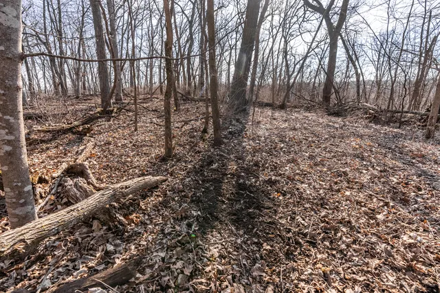 $1,274,999 | 54008 Valentine Lane, Wauzeka, WI 53826