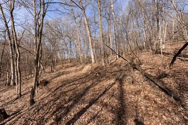 $1,274,999 | 54008 Valentine Lane, Wauzeka, WI 53826