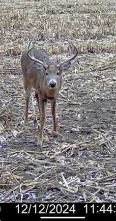 $1,274,999 | 54008 Valentine Lane, Wauzeka, WI 53826