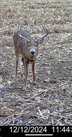 $1,274,999 | 54008 Valentine Lane, Wauzeka, WI 53826