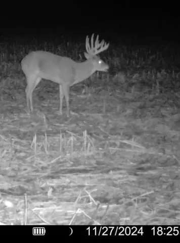 $1,274,999 | 54008 Valentine Lane, Wauzeka, WI 53826