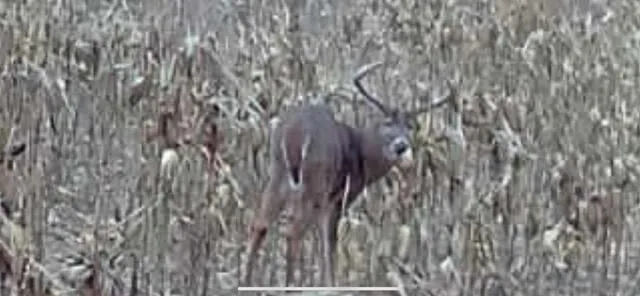 $1,274,999 | 54008 Valentine Lane, Wauzeka, WI 53826