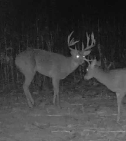 $1,274,999 | 54008 Valentine Lane, Wauzeka, WI 53826