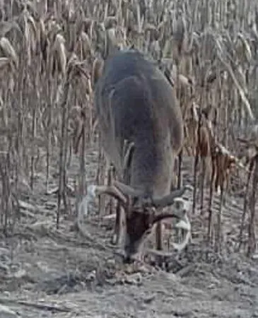 $1,274,999 | 54008 Valentine Lane, Wauzeka, WI 53826