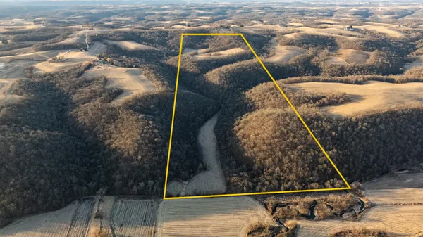 $1,274,999 | 54008 Valentine Lane, Wauzeka, WI 53826