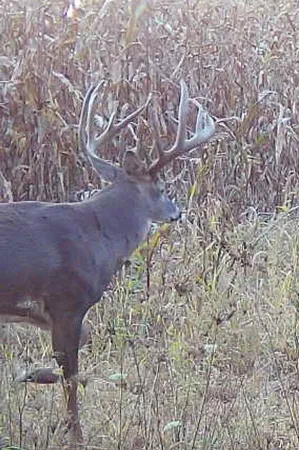 $1,274,999 | 54008 Valentine Lane, Wauzeka, WI 53826