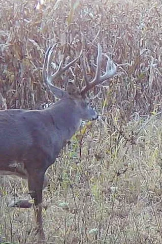 $1,274,999 | 54008 Valentine Lane, Wauzeka, WI 53826