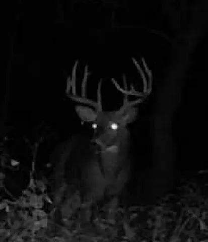 $1,274,999 | 54008 Valentine Lane, Wauzeka, WI 53826