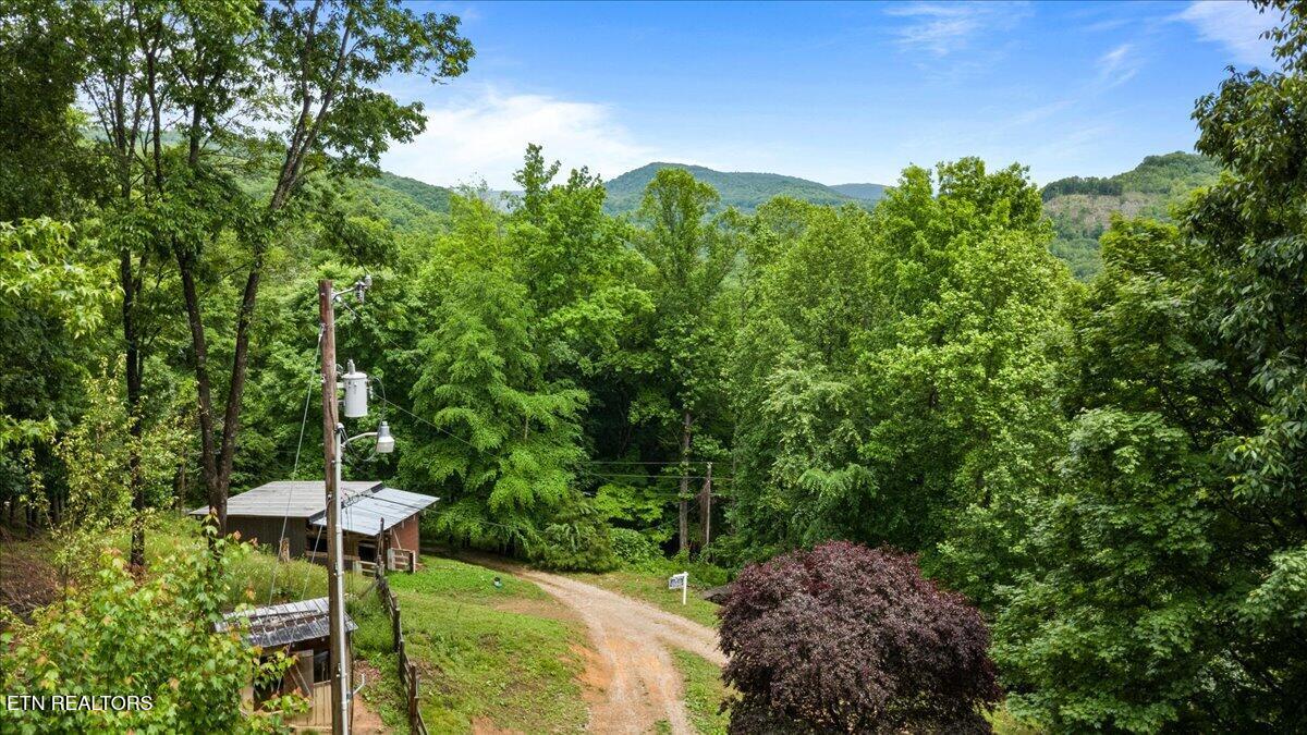578 Fox Branch Road Clairfield, TN 37715 - Photo 33 of 38 36-578 Fox Branch Rd
