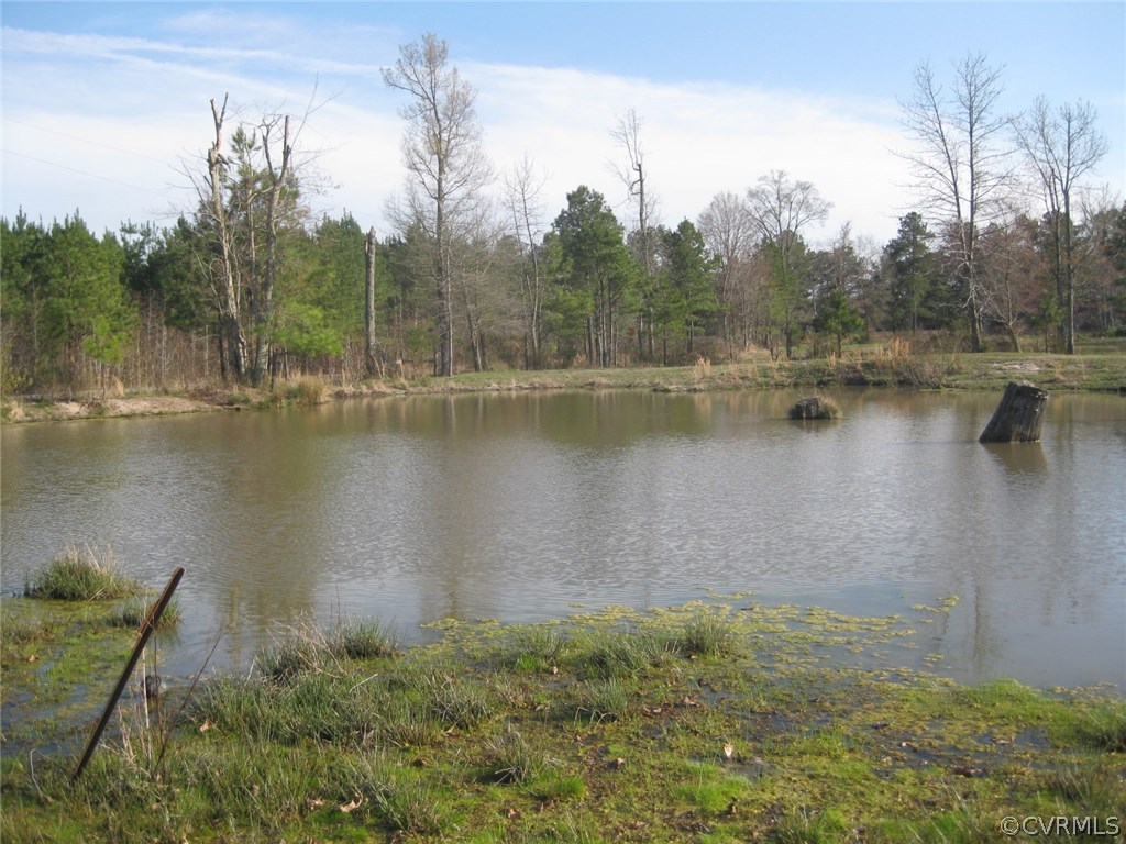 8810 Wells Road Wilsons, VA 23894 - Photo 31 of 31 a view of a lake with a yard and trees