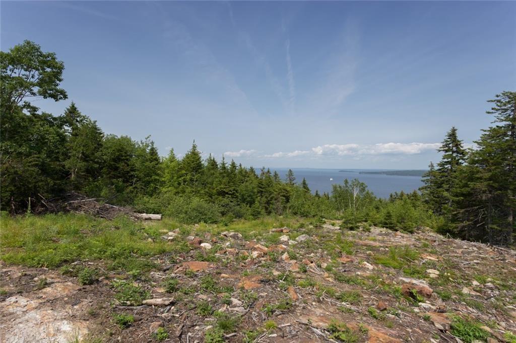 0 Upper Bluff Road Northport, ME 04849 - Photo 5 of 20 Photo