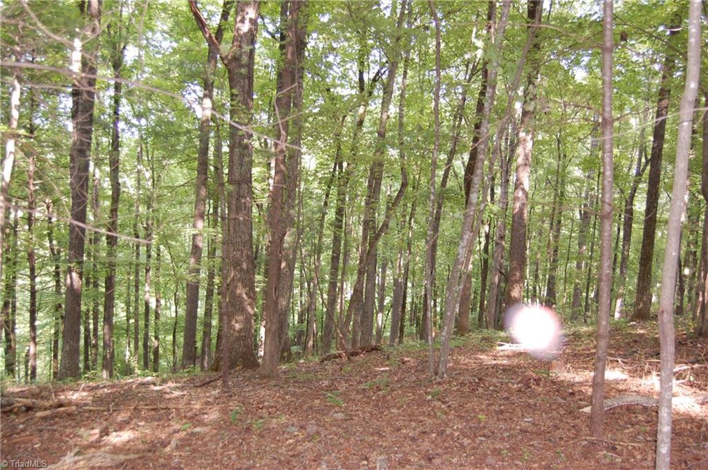 130 Ridge Top Lane Dobson, NC 27017 - Photo 17 of 22 Gallery Image 17
