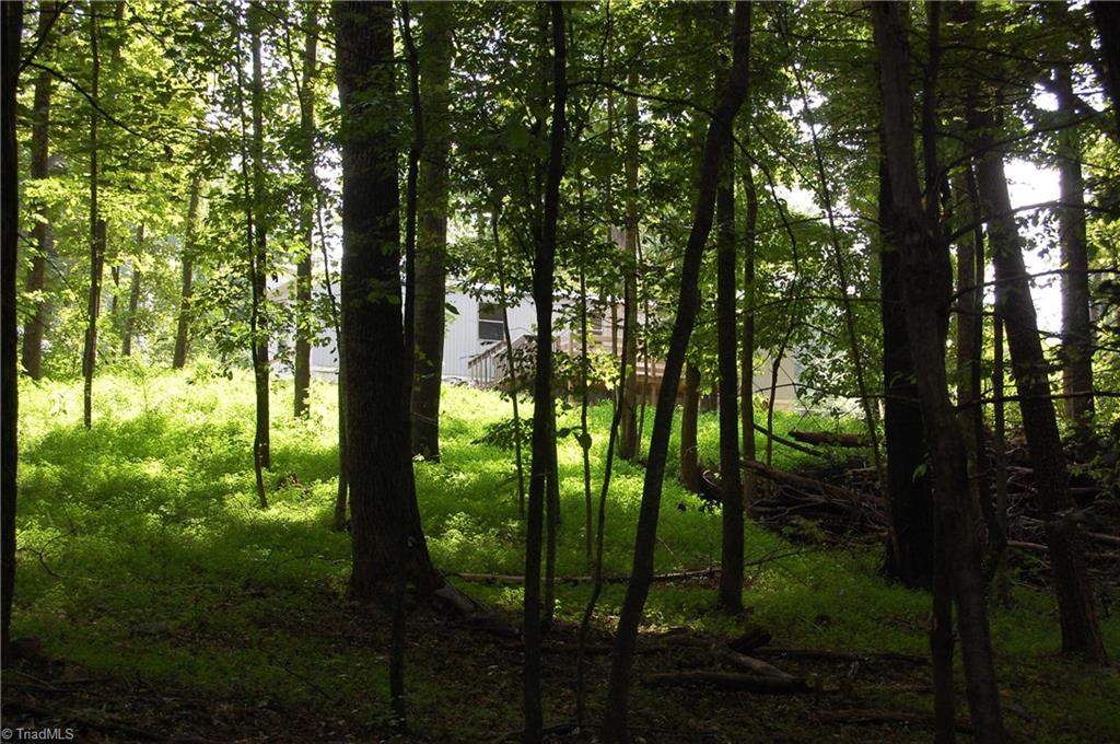 130 Ridge Top Lane Dobson, NC 27017 - Photo 21 of 22 Gallery Image 21