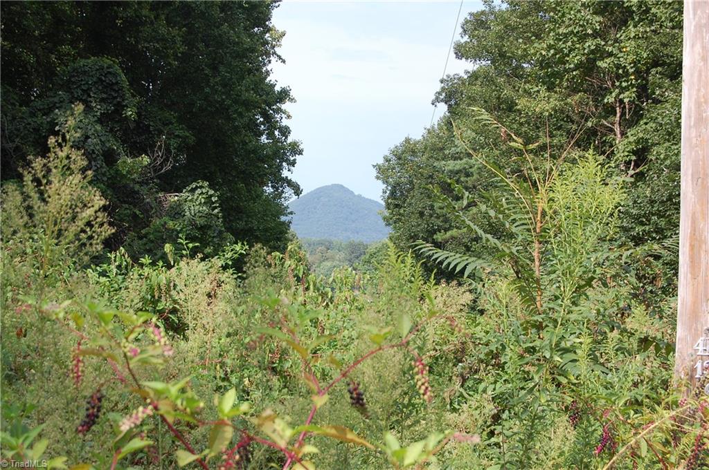 130 Ridge Top Lane Dobson, NC 27017 - Photo 5 of 22 Gallery Image 5