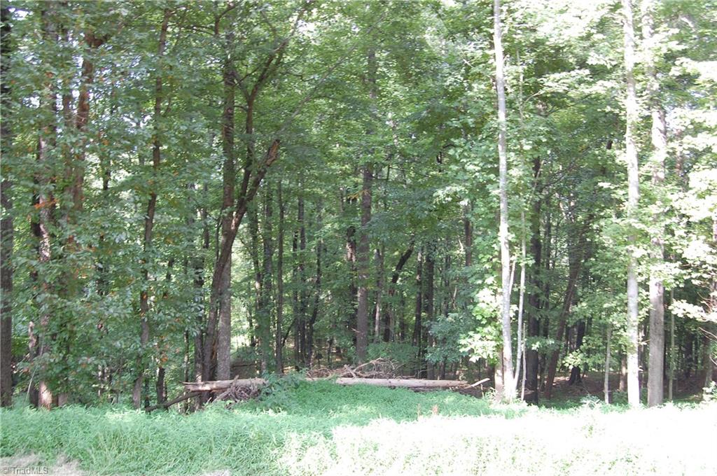 130 Ridge Top Lane Dobson, NC 27017 - Photo 7 of 22 Gallery Image 7