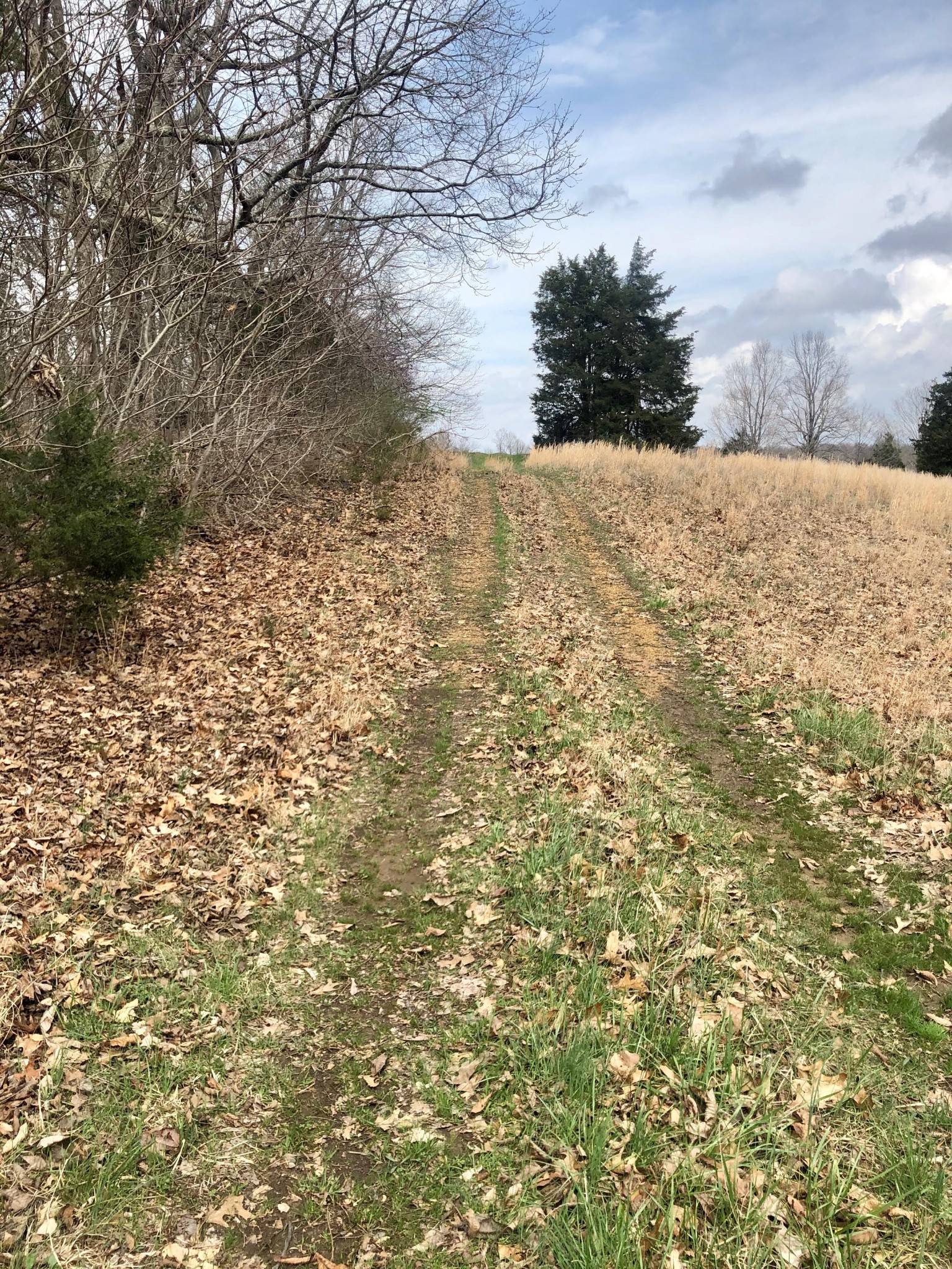 0 Nels Adams Road Dickson, TN 37055 - Photo 2 of 6 Gallery Image 2