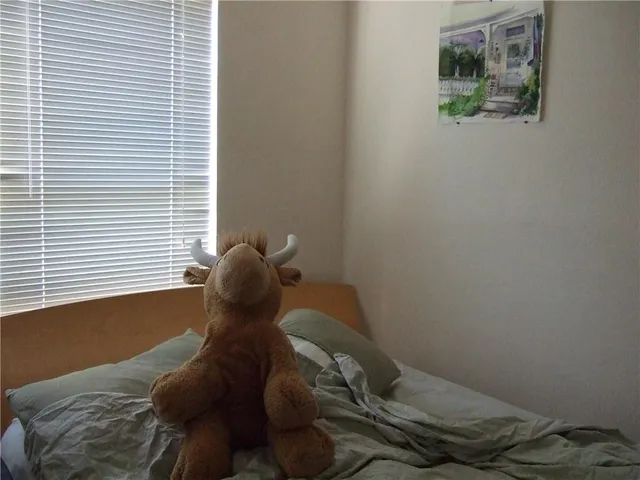 $1,795 | 2804 Rio Grande Street, Unit 203, Austin, TX 78705