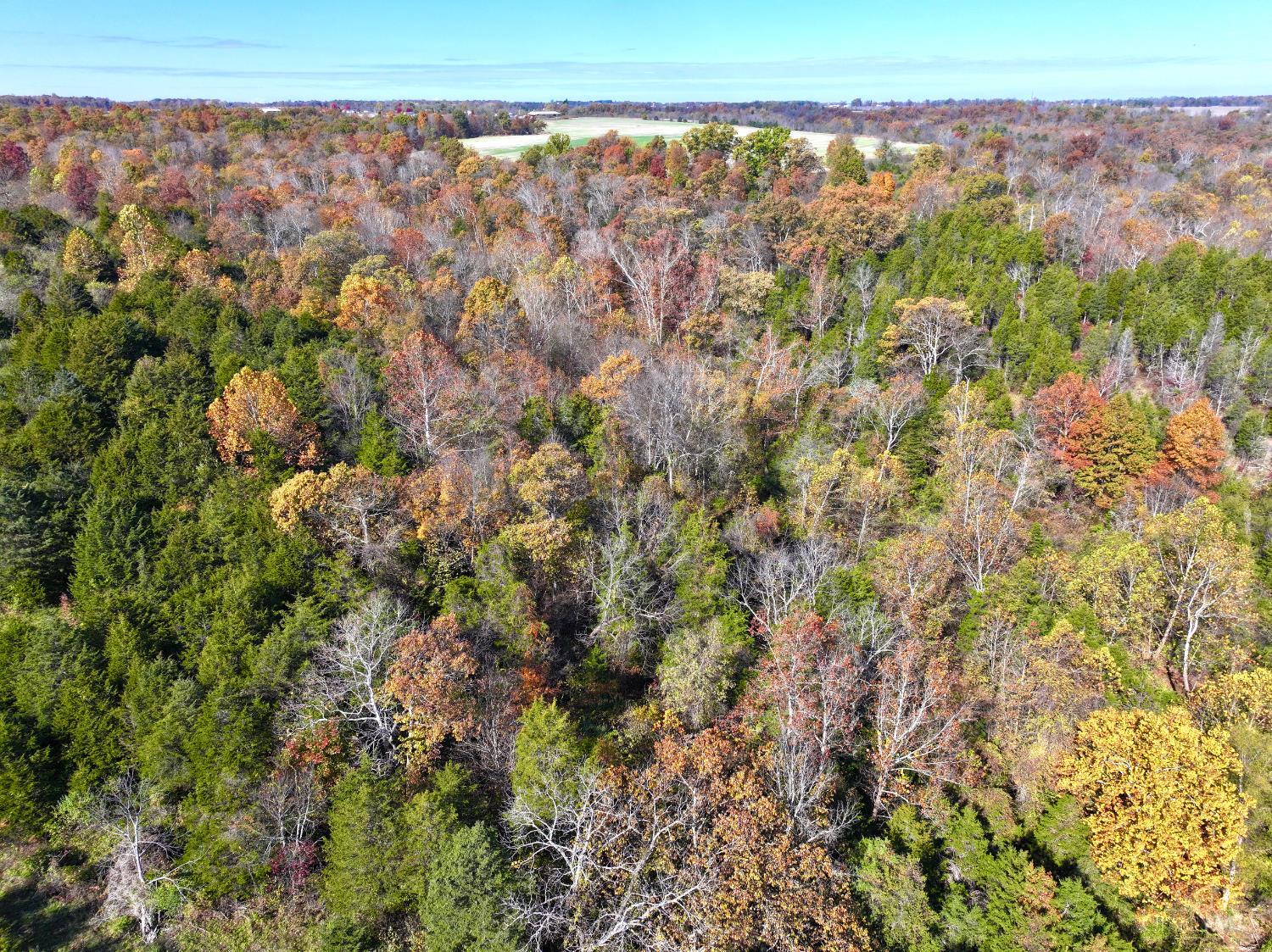 0 Harriet Road Hillsboro, OH 45133 - Photo 87 of 96