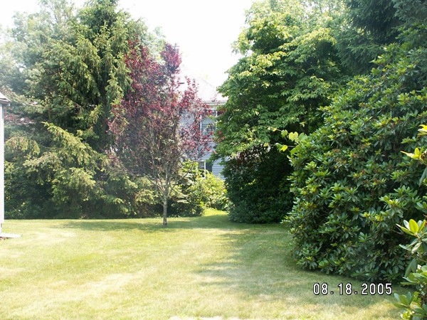 411 Common Street Walpole, MA 02081 - Photo 2 of 18 Gallery Image 2