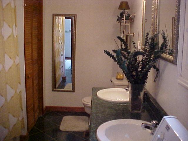 978 Flowing Spring Road Buchanan, VA 24066 - Photo 13 of 13 Bathroom