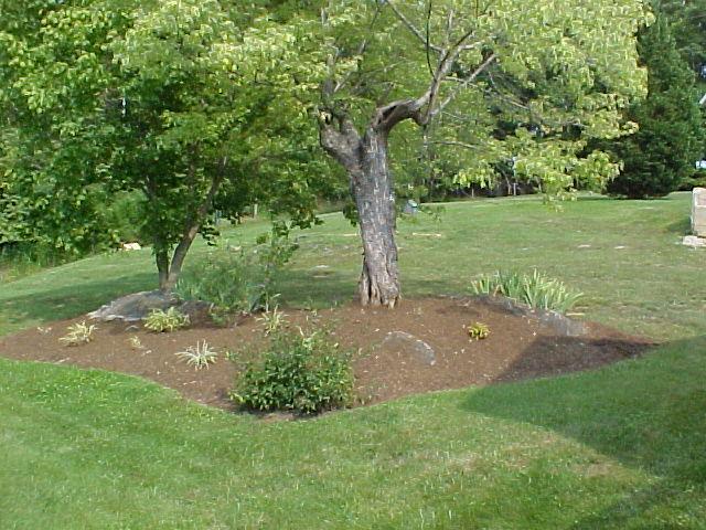 978 Flowing Spring Road Buchanan, VA 24066 - Photo 5 of 13 Landscaping