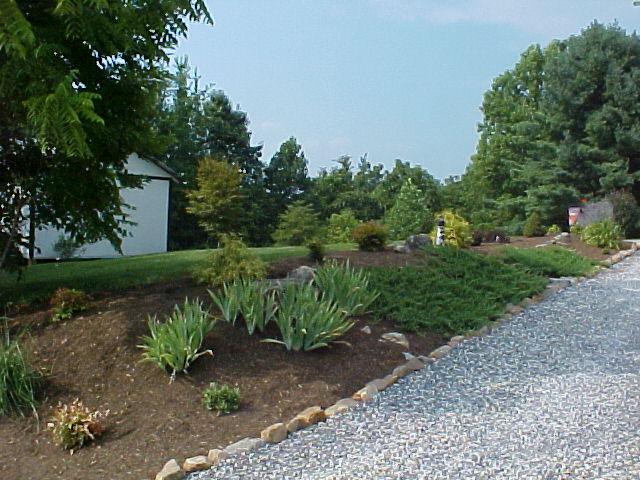 978 Flowing Spring Road Buchanan, VA 24066 - Photo 7 of 13 Landscaping (3)