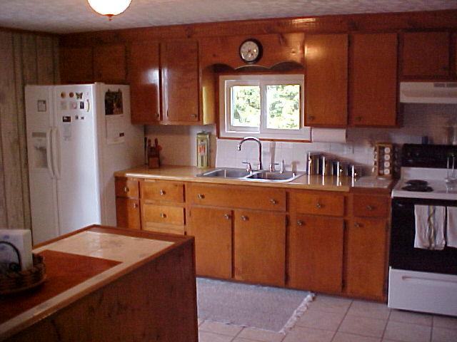 978 Flowing Spring Road Buchanan, VA 24066 - Photo 8 of 13 Kitchen