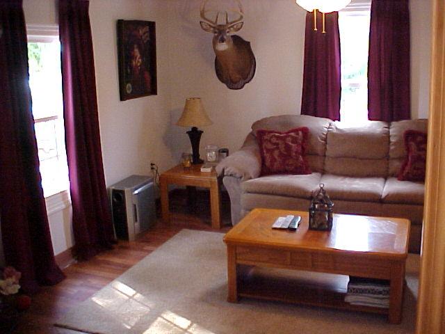 978 Flowing Spring Road Buchanan, VA 24066 - Photo 10 of 13 Living Room