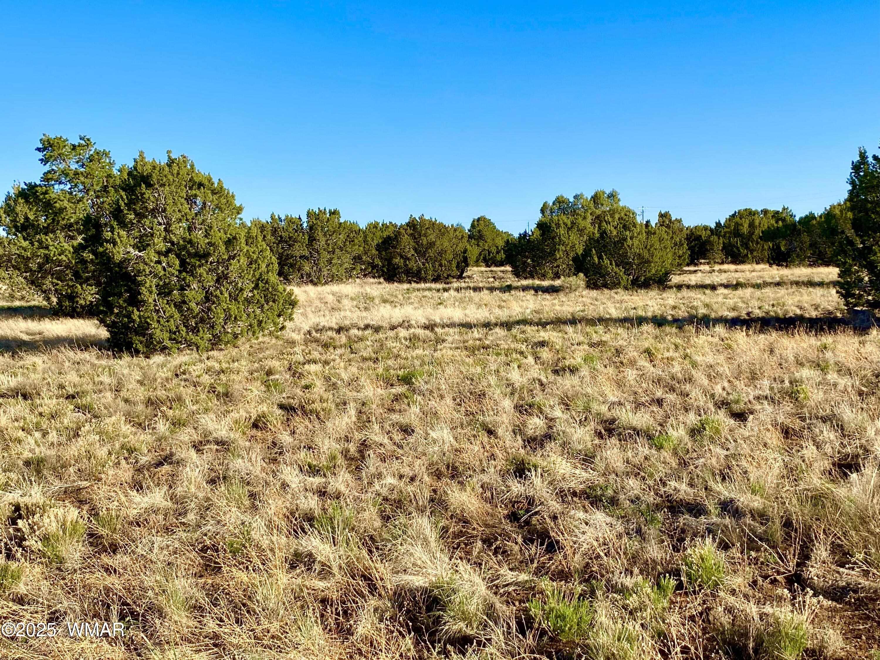 Tbd Bourdon Ranch Road Show Low, AZ 85901 - Photo 20 of 32 IMG_0207