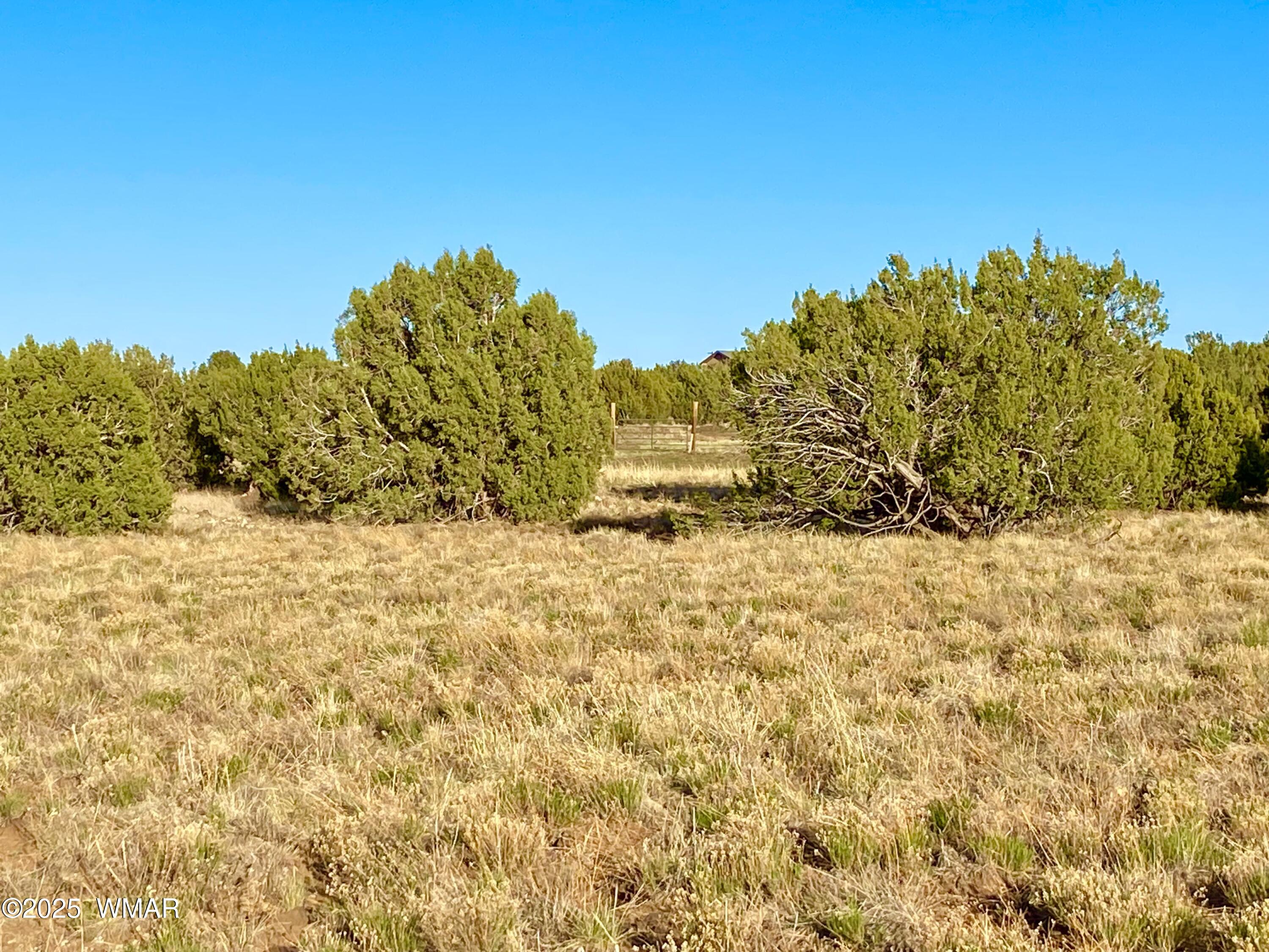 Tbd Bourdon Ranch Road Show Low, AZ 85901 - Photo 26 of 32 IMG_0224