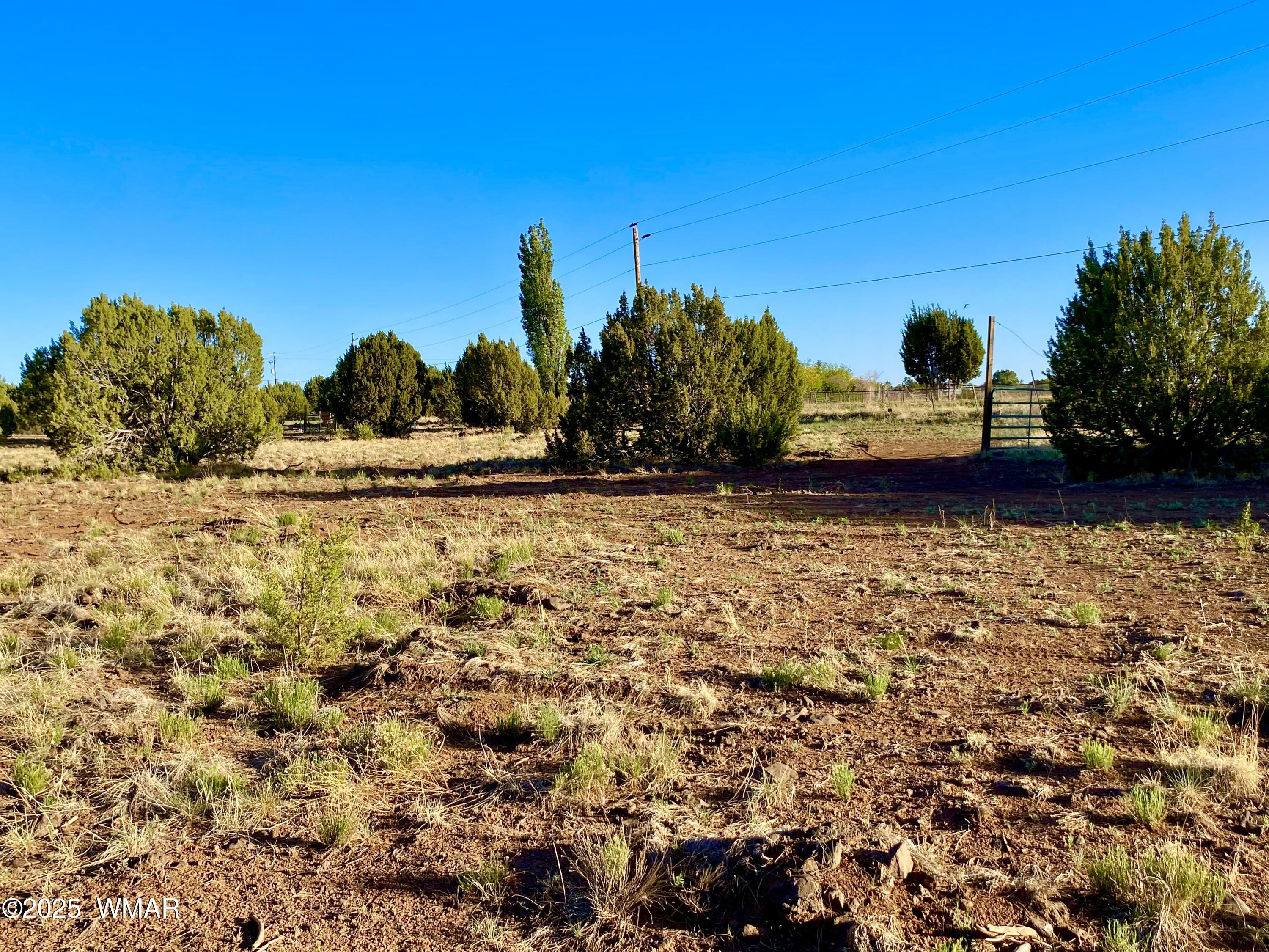 Tbd Bourdon Ranch Road Show Low, AZ 85901 - Photo 27 of 32 IMG_0226