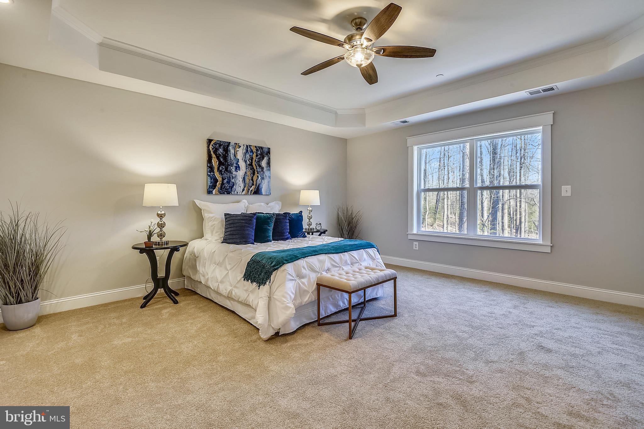 502 Teak Road Crownsville, MD 21032 - Photo 17 of 30 Owner's Suite with tray ceiling