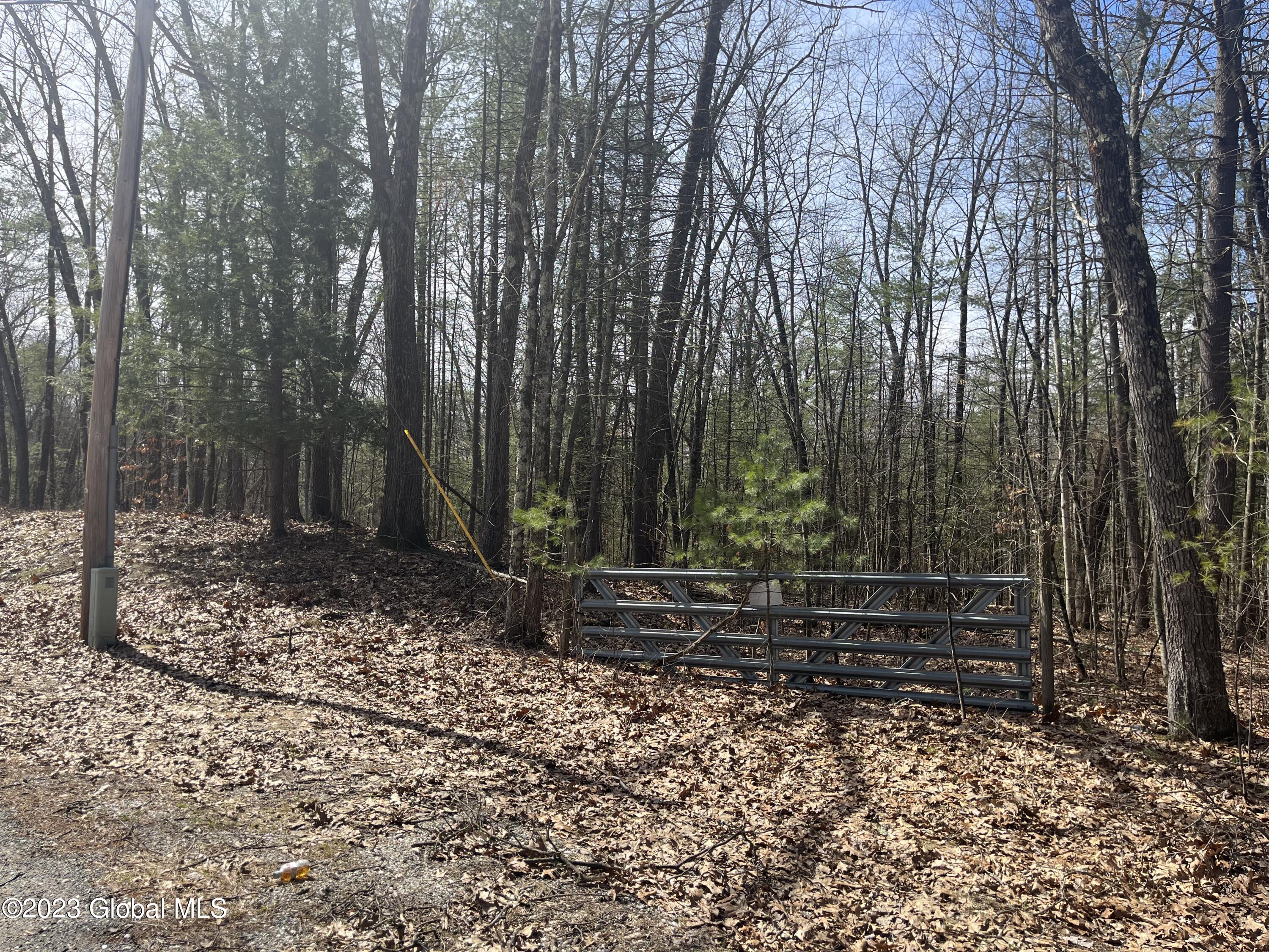 L19.22 L19.22 Homestead Road Saratoga Springs, NY 12866 - Photo 2 of 12 IMG_1214