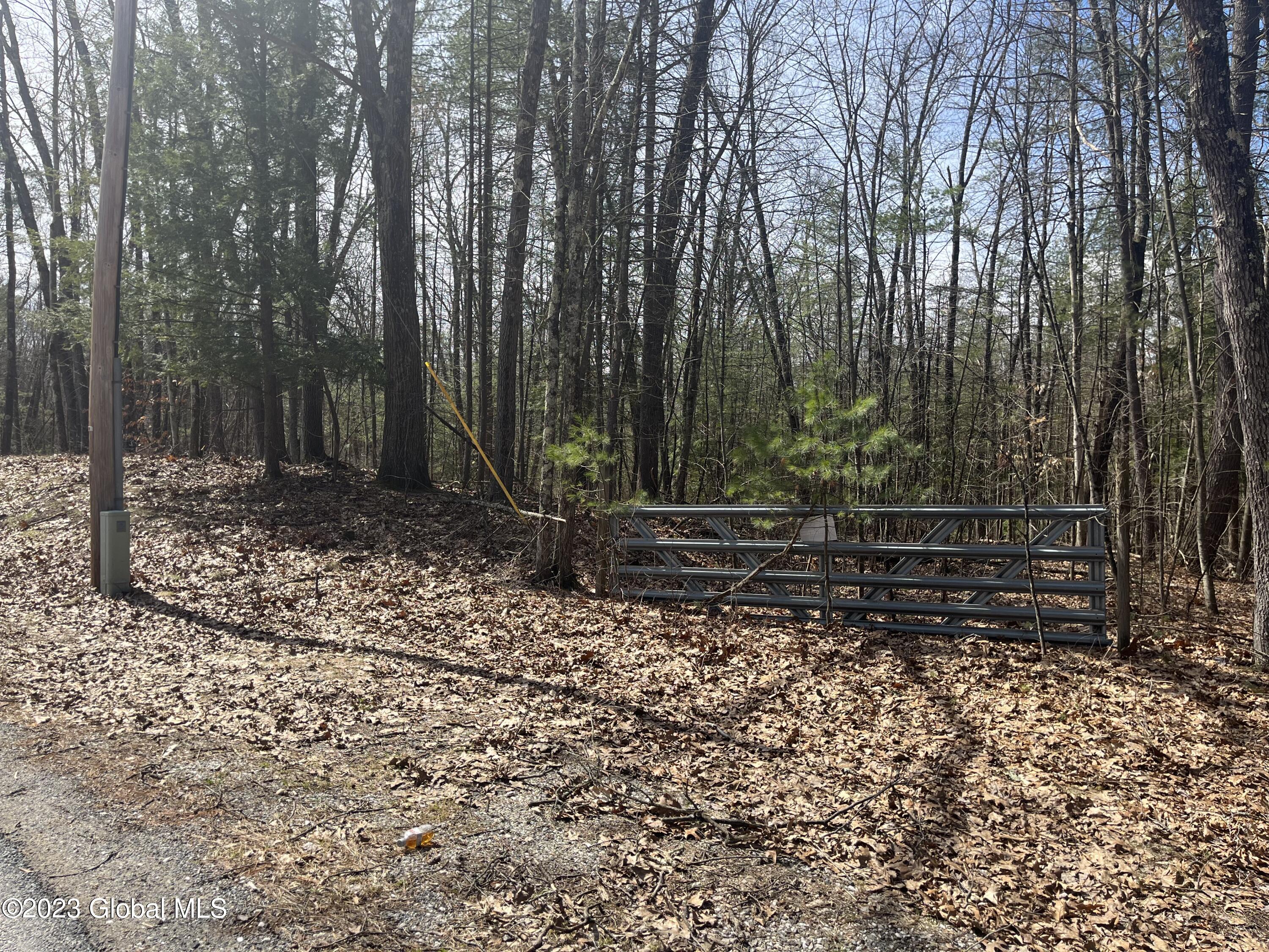 L19.22 L19.22 Homestead Road Saratoga Springs, NY 12866 - Photo 7 of 12 IMG_1213