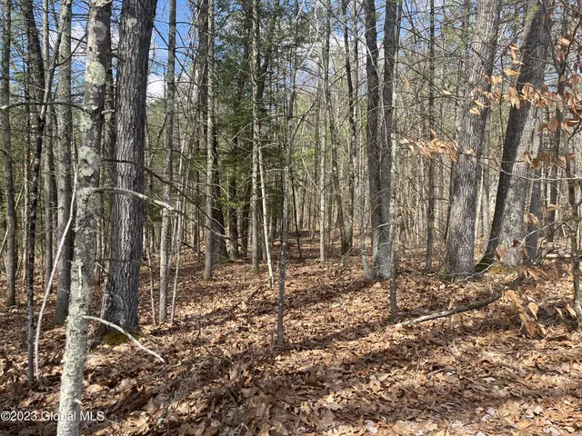 $325,000 | L19.22 L19.22 Homestead Road, Saratoga Springs, NY 12866