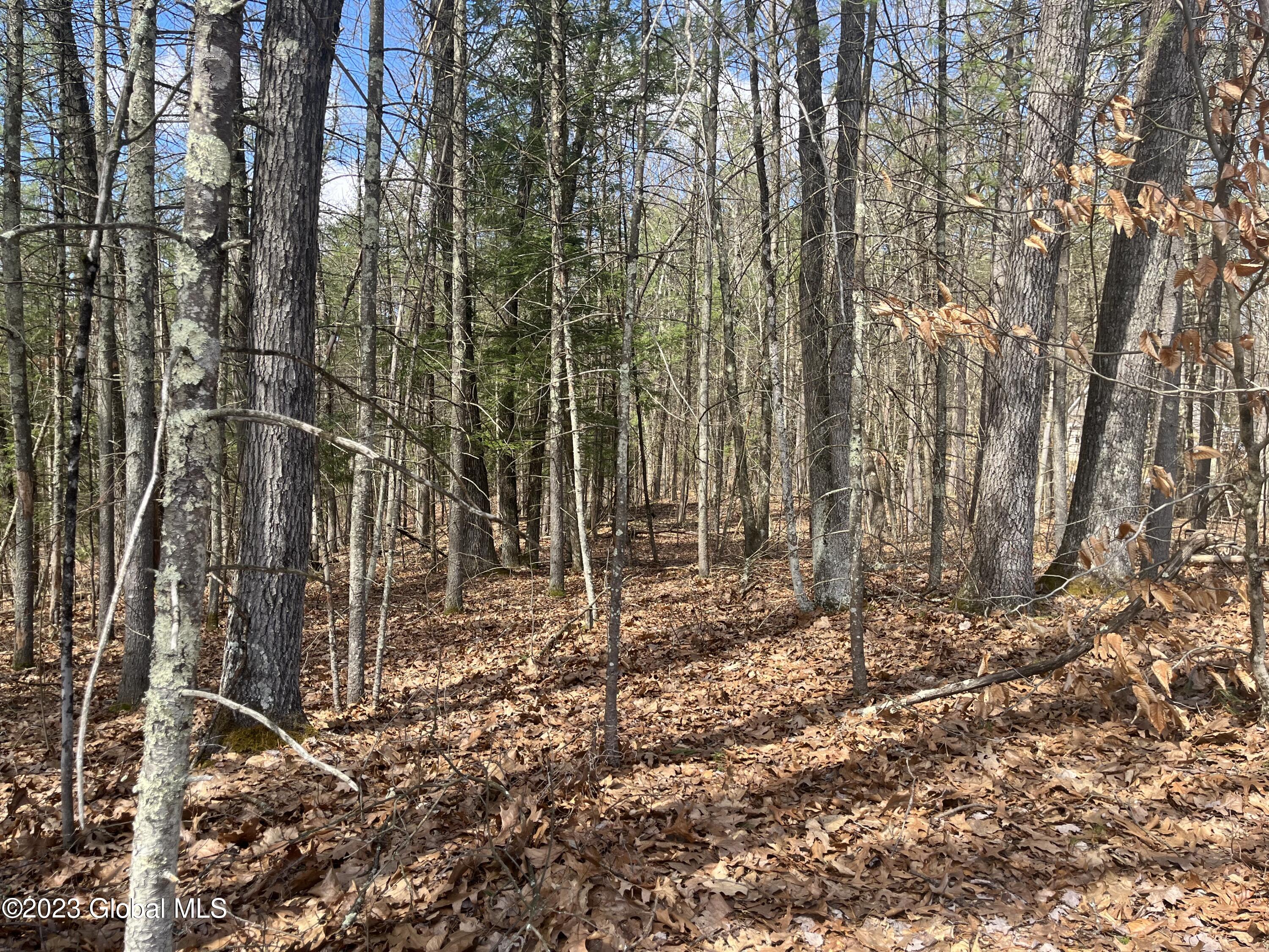 L19.22 L19.22 Homestead Road Saratoga Springs, NY 12866 - Photo 8 of 12 IMG_1215