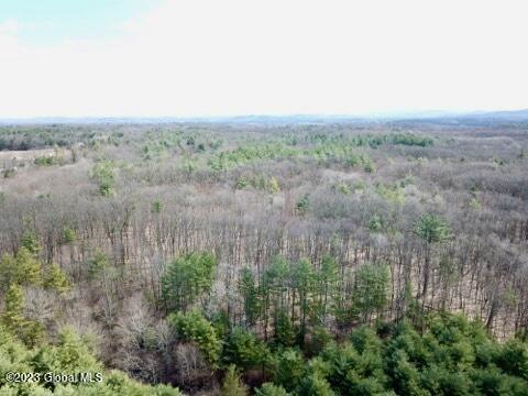 L19.22 L19.22 Homestead Road Saratoga Springs, NY 12866 - Photo 10 of 12 IMG_2658