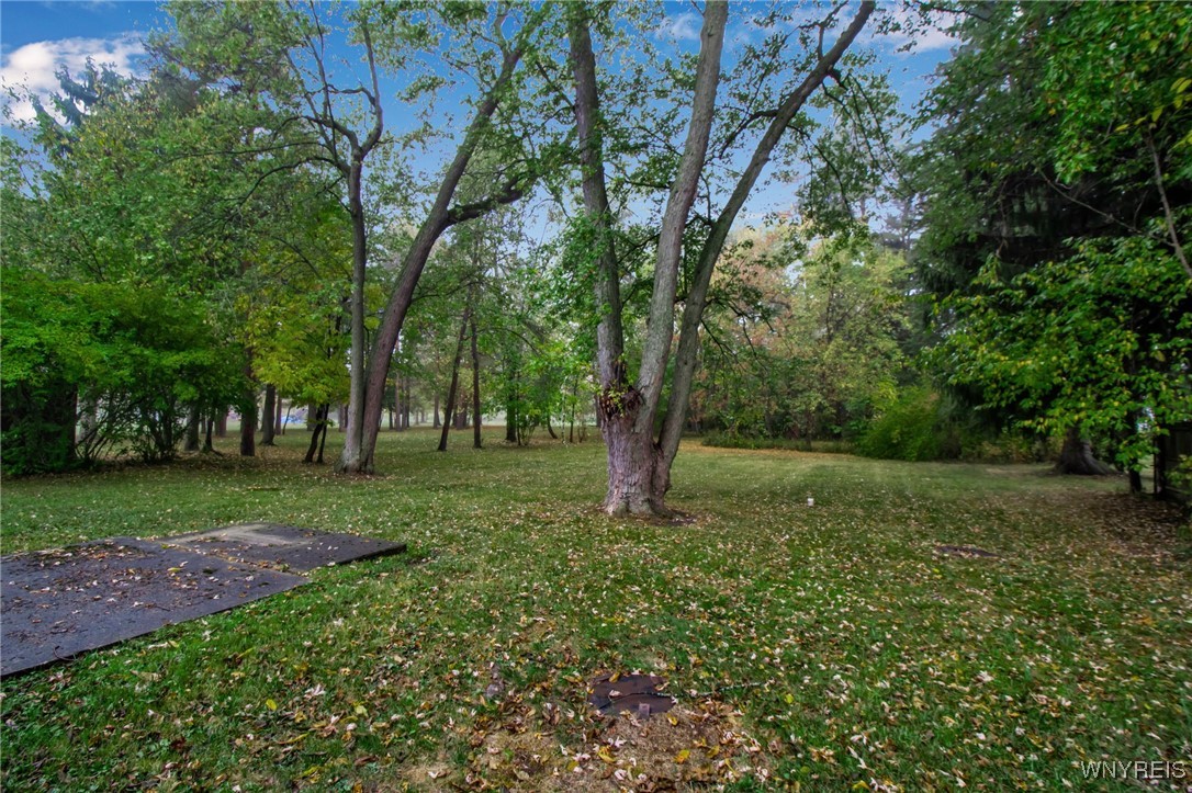 4100 Gunnville Road Clarence, NY 14031 - Photo 15 of 16