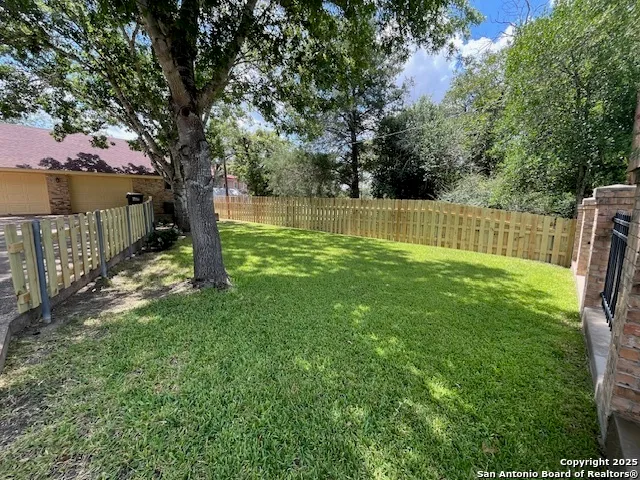 a view of a yard with a large tree