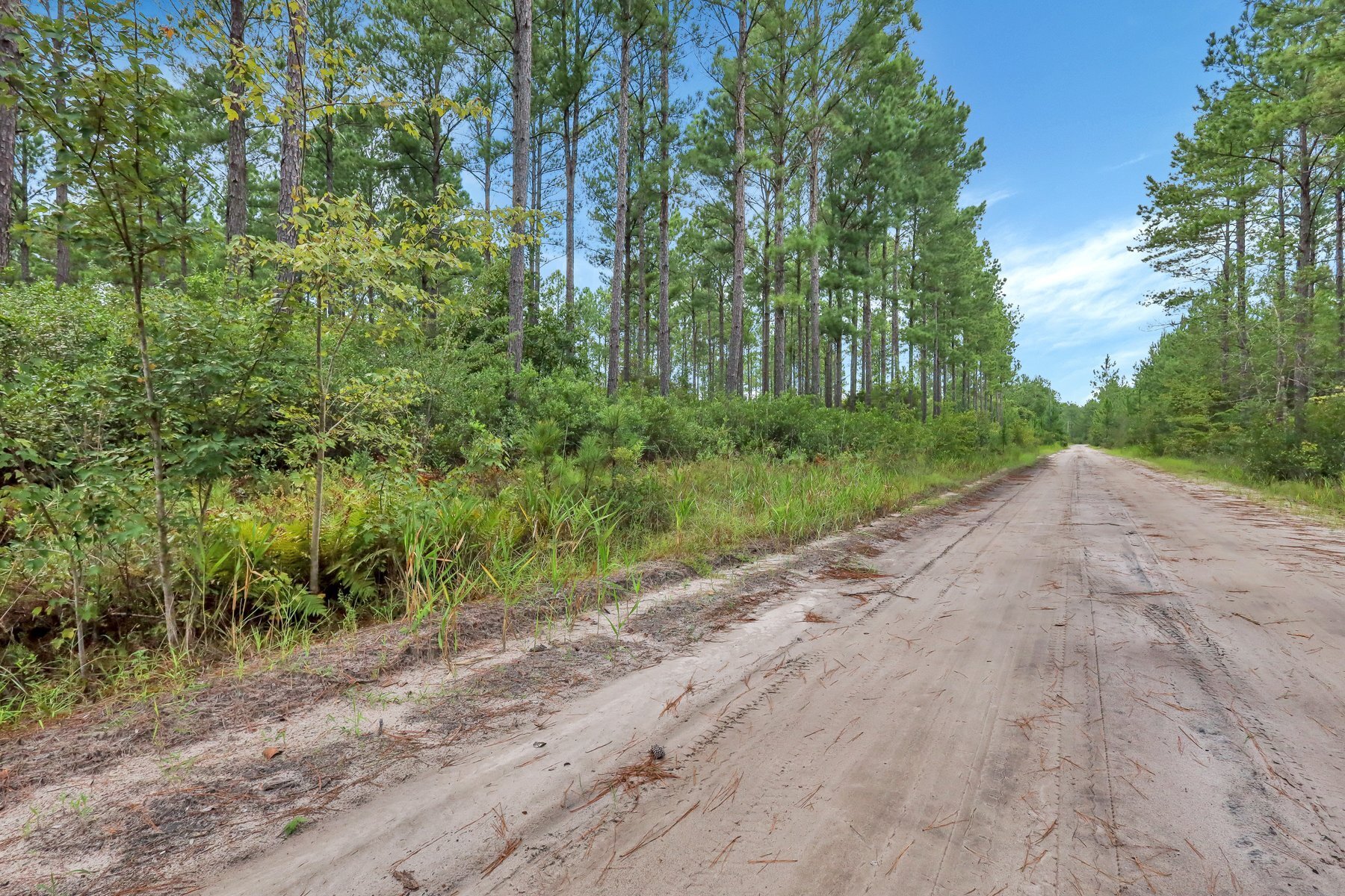 0 Old Hopkins Road Waycross, GA 31503 - Photo 1 of 1 Gallery Image 1