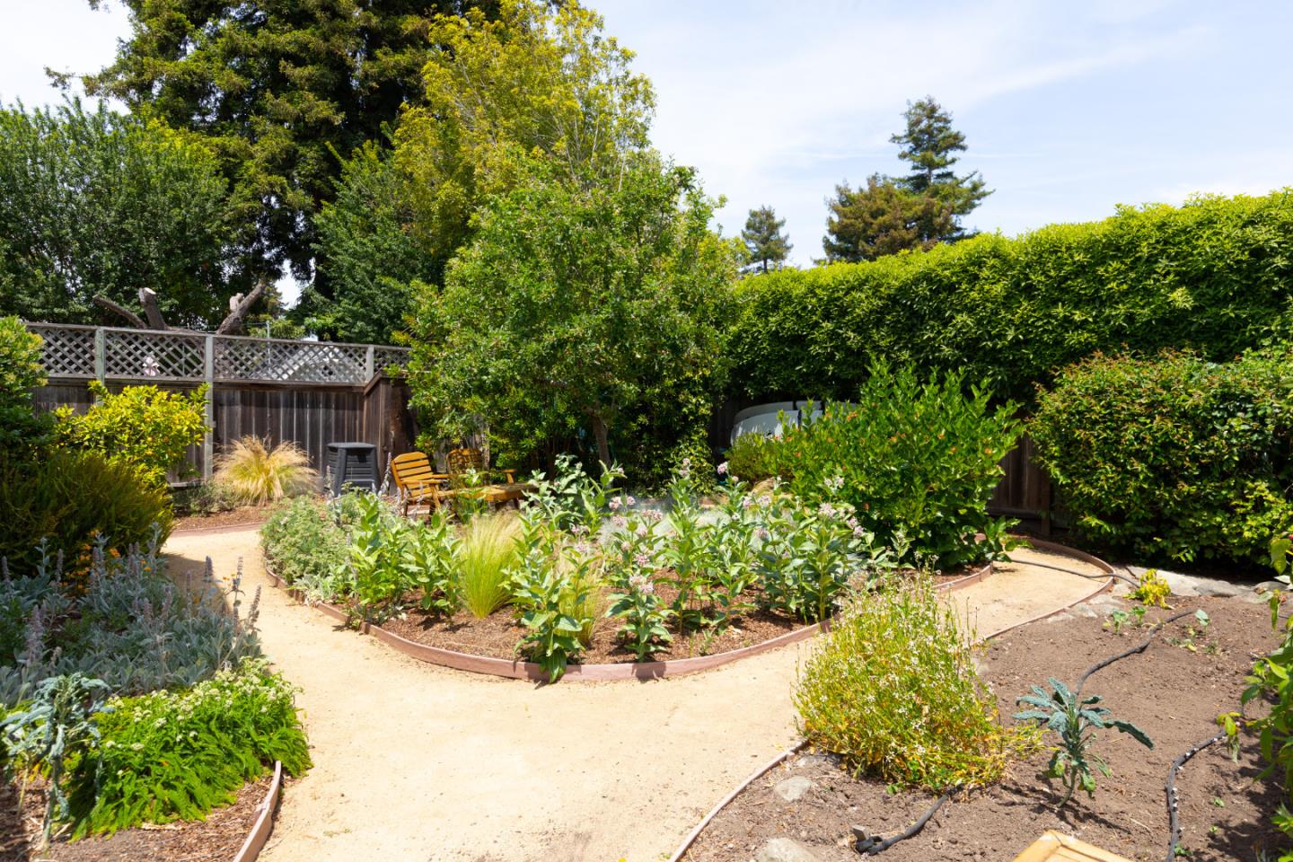 508 Oak Drive Capitola, CA 95010 - Photo 18 of 31 a view of a garden with plants