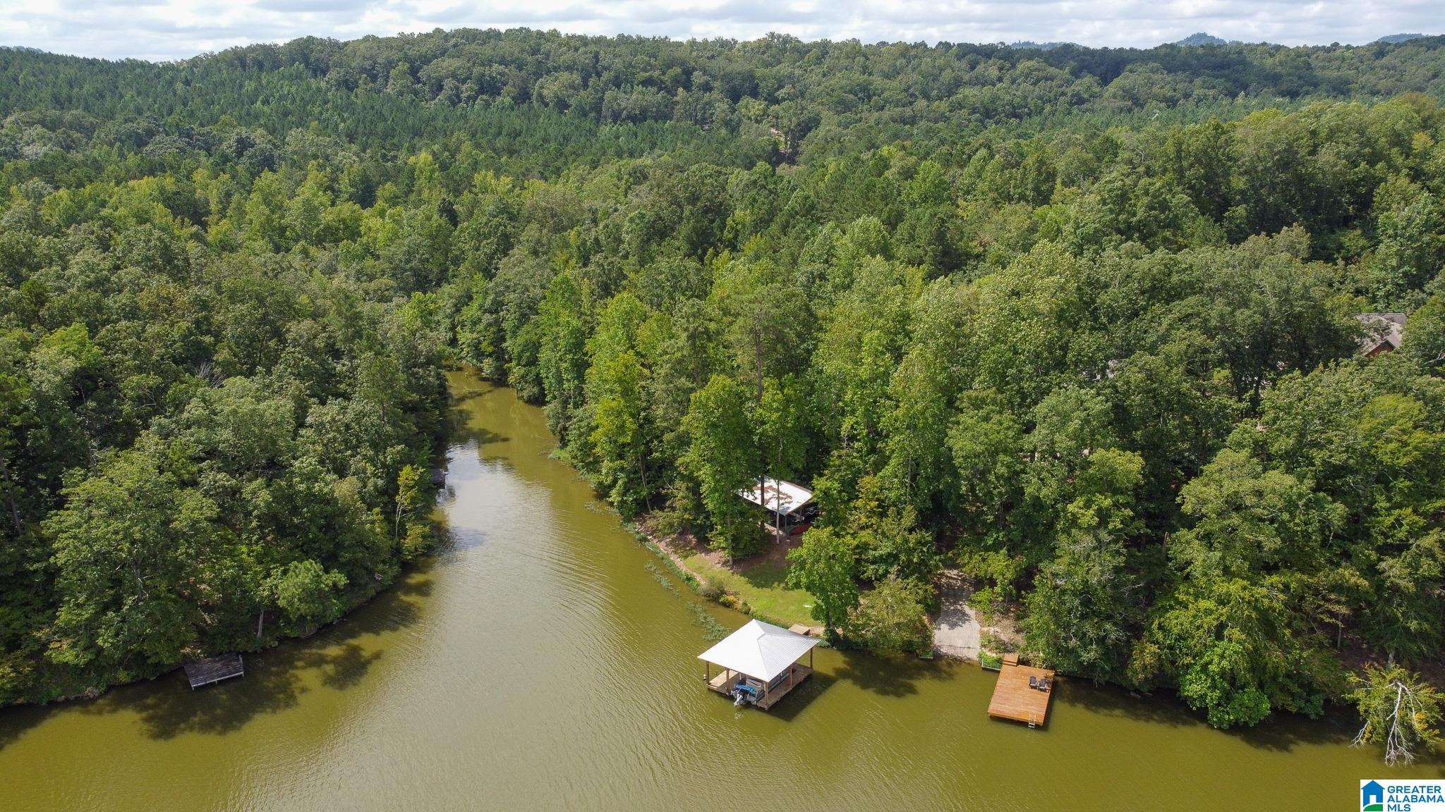 0 Colvin Springs Road Ashville, AL 35953 - Photo 19 of 31 Gallery Image 19