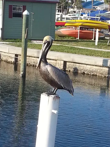 an aerial view of a house with a garden and trees