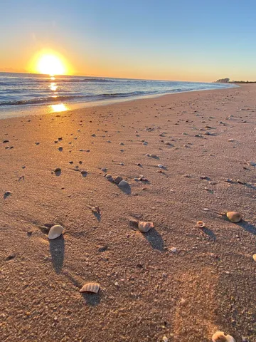a view of a street with a building in the background