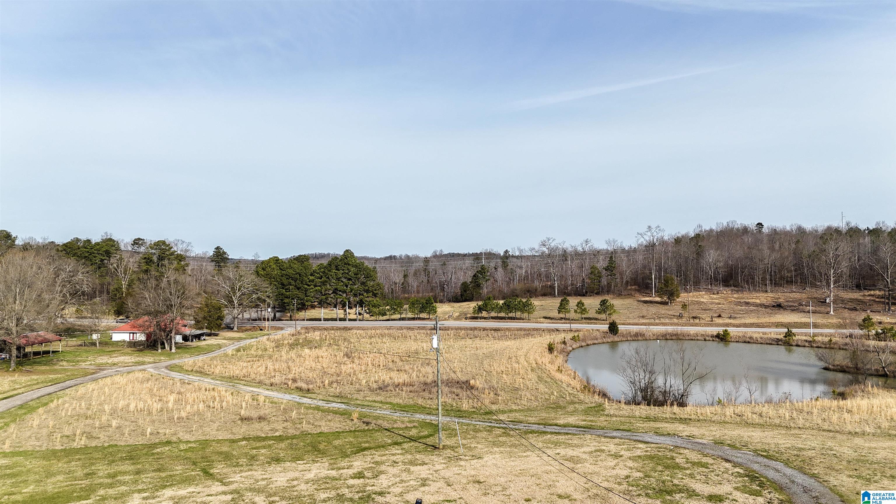 3410 Highway 132 Oneonta, AL 35121 - Photo 10 of 46